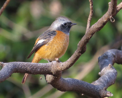 �W���r������������