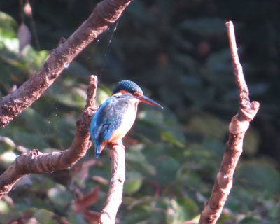 ���������肷�����J���Z�~