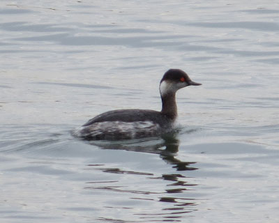 �n�W���J�C�c�u��t