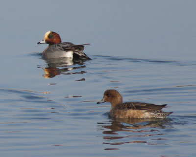 �������q�h���K��