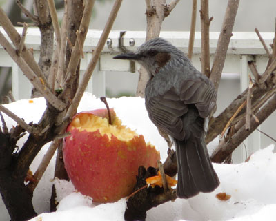 ��ՐU�镑�������q���h��