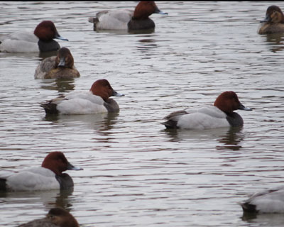 ��������z�V�n�W��