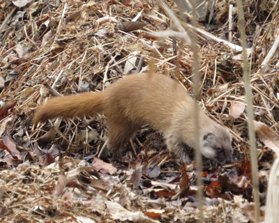 �����Ƃ��~�܂�Ȃ�