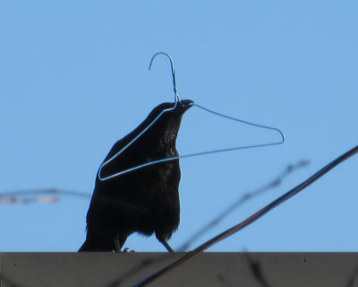 �{�\�����͖Z����