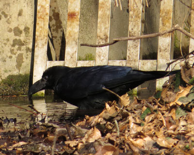 ������������u�g�����