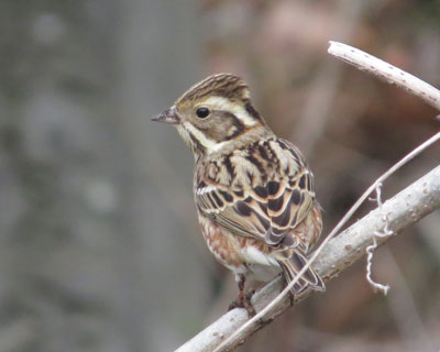 ������킫�o��J�V���_�J