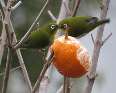 ���W�������܂�����Ȃ�