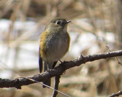 �������������q