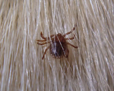 ���̑���o��}�_�j