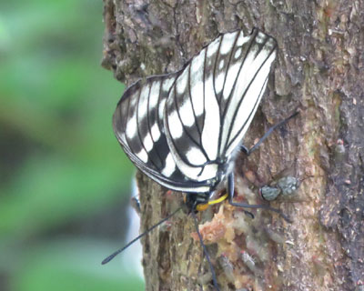 �S�}�_���`���E