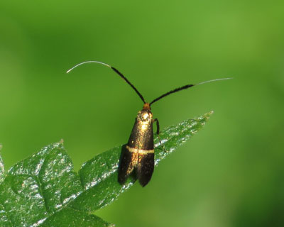 �e�J��z�\�I�r�q�Q�i�K