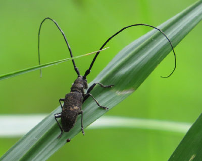 �q���q�Q�i�K�J�~�L��