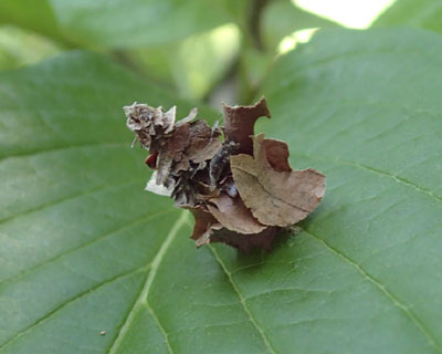 �����S�~