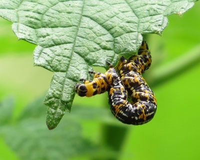 �E���G�_�V���N����