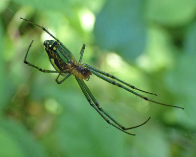 �������Ԃ�