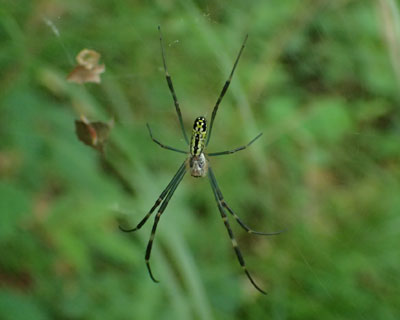 �Ⴂ�W�����E�O��