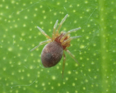 �Ⴂ�l�R�n�O��