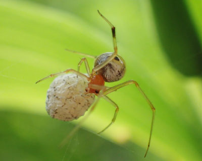 ���K�����킢��