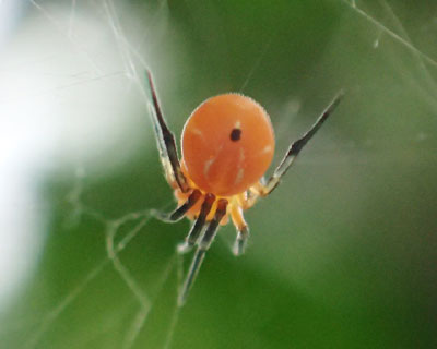 �����ɏZ��ł��N�������