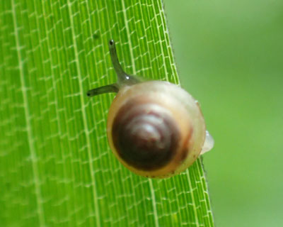 �������������J�^�c�����H