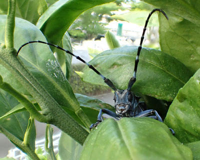 ��������킢���S�}�_���J�~�L��