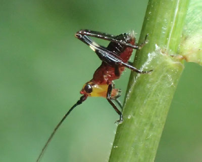 ���������T�T�L���c��