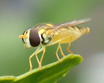 �q���q���^�A�u�H