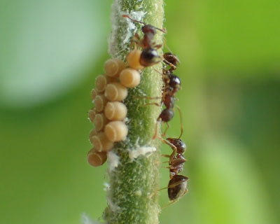 �A������Ƃӂ�ӂ�Ɨ�