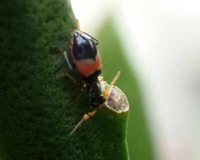 �������������q���I�r�W���E�J�C���h�L