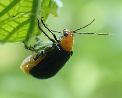 �������N�b�L�������N���E���n���V