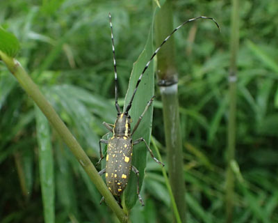 �L�{�V�J�~�L��