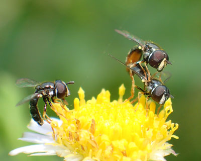 �A�u�W�܂�