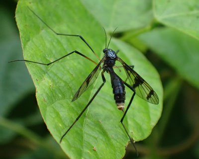 �n�`���Ǝv���Ă���K�K���{�炵��