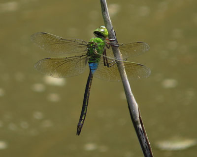 �M�������}�����܂ɂ͋x��