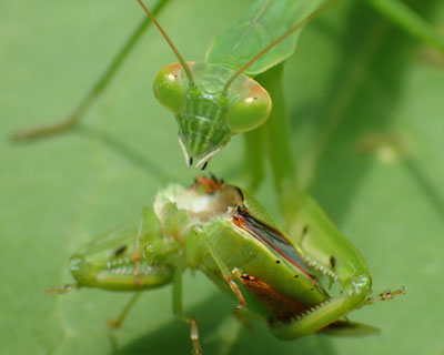 �����Ȃ��Ă�