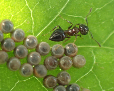 �A��������