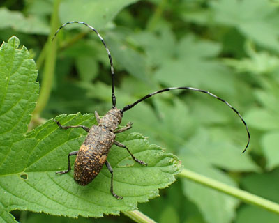 �q���q�Q�i�K�J�~�L��