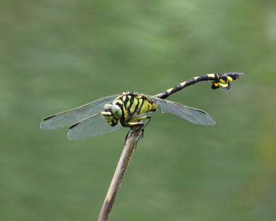 �E�`�������}