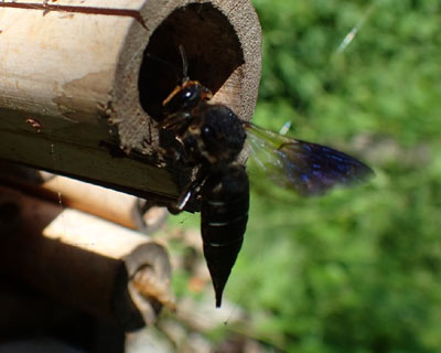 �I�I�g�K���n�i�o�`