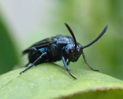 ���胋���`���E�����W�o�`