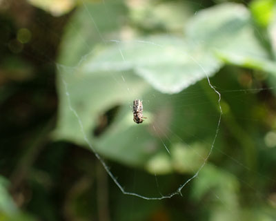 �ւ����N��