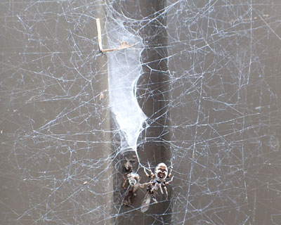 ���������N��