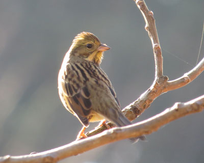 �ق�킩�A�I�W