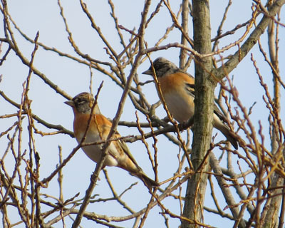 ���������A�g��