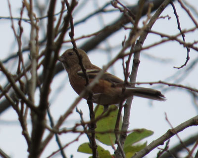 �������������x�j�}�V�R