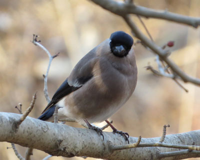 �ɂ�����E�\