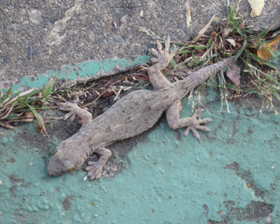 �������肤���ɏZ��ł�������