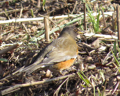 ���������Ŕw�����ۂ߂Ă��A�J�n��