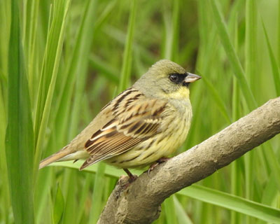 �t���ς������n�߂Ă��Ȃ��Ȃ�