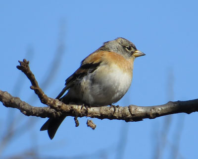 ���A�g��